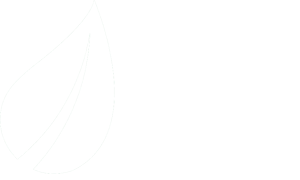 Best Herbs